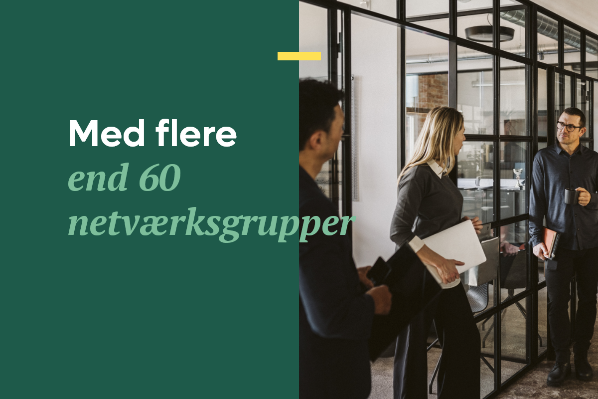 Med flere end 60 netværksgrupper