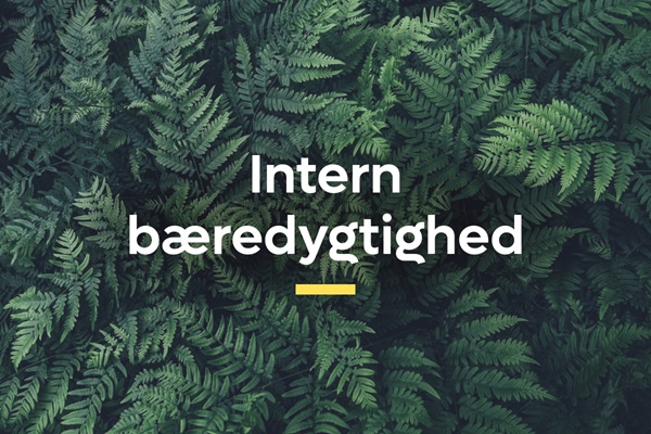 Ledernes interne arbejde med bæredygtighed | Karriere i Lederne