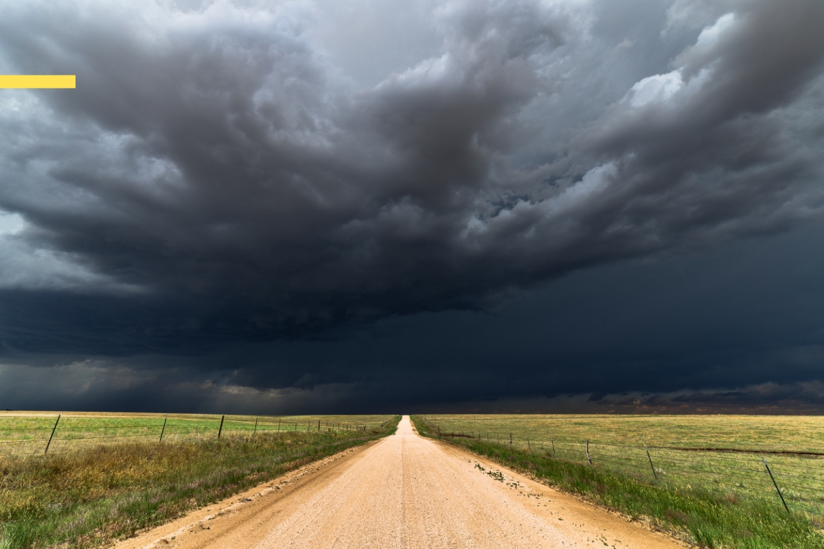 Ledernes klimaregnskab og nøgletal  | Karriere i Lederne