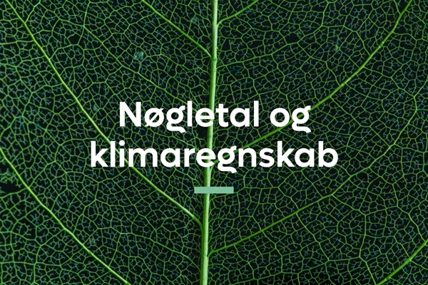 Nøgletal og klimaregnskab  | Karriere i Lederne