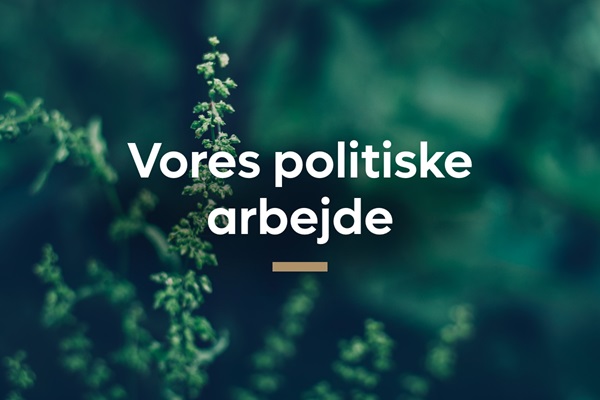 Ledernes politiske arbejde  | Karriere i Lederne
