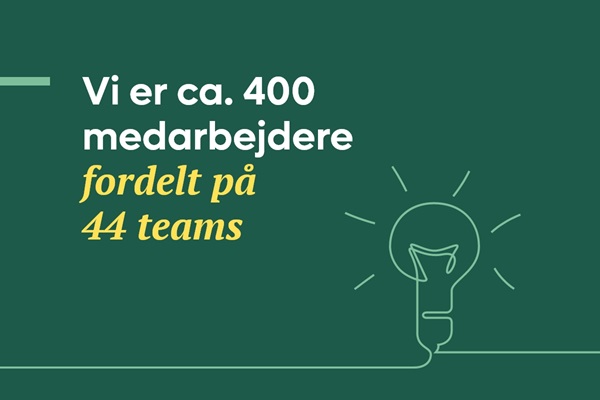 Vi er ca. 350 medarbejdere fordelt på 35 teams | Karriere i Lederne