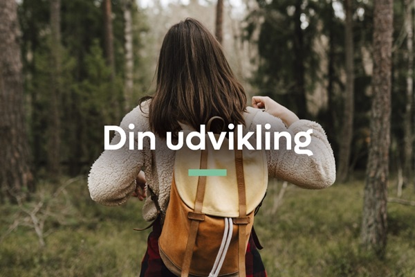 Din udvikling  | Karriere i Lederne