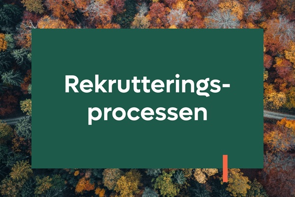 Rekrutteringsprocessen | Karriere i Lederne