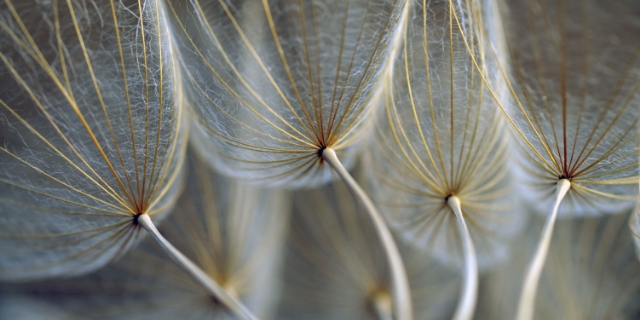 Sådan får du en mere divers rekruttering