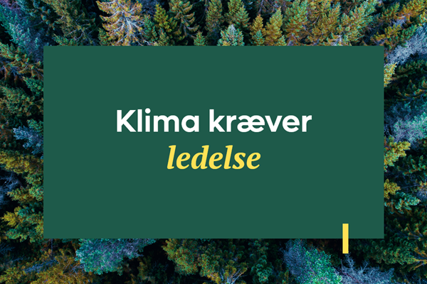 Klima kræver ledelse