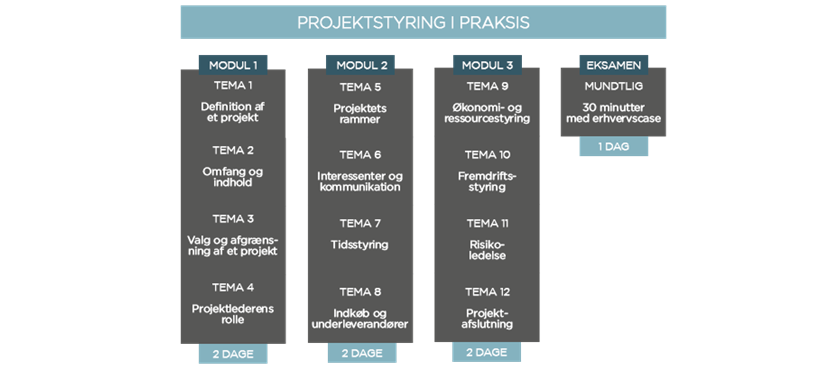 Projektstyring i praksis